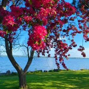 Meet your Posher, Ina